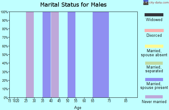Zip code 25846 marital status for males