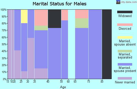 Zip code 25847 marital status for males