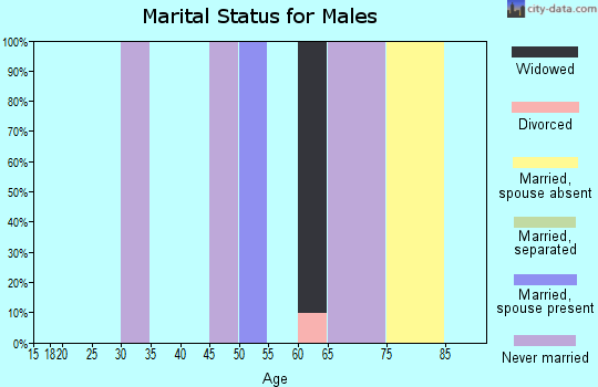Zip code 25855 marital status for males