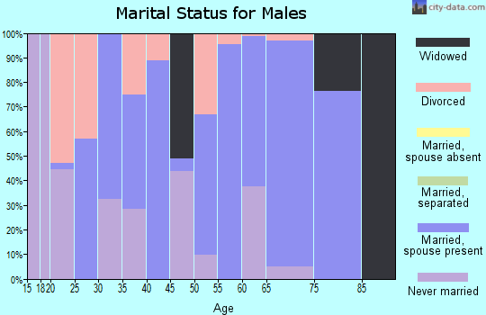 Zip code 25865 marital status for males