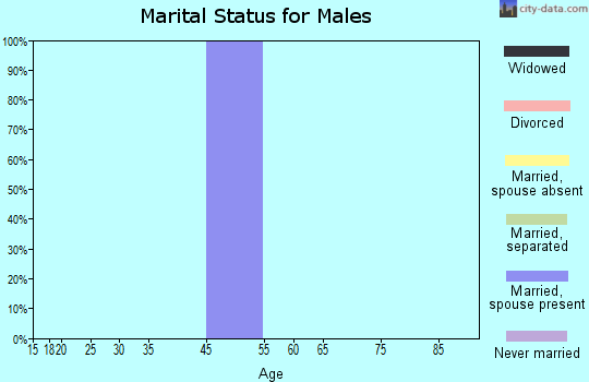 Zip code 25866 marital status for males