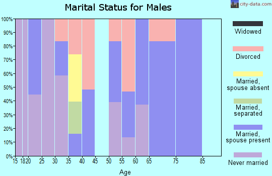 Zip code 25871 marital status for males