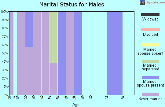 Zip code 25879 marital status for males