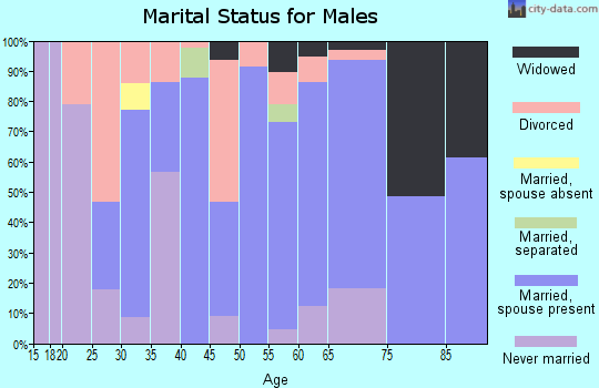 Zip code 25882 marital status for males