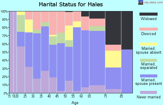 Zip code 25901 marital status for males
