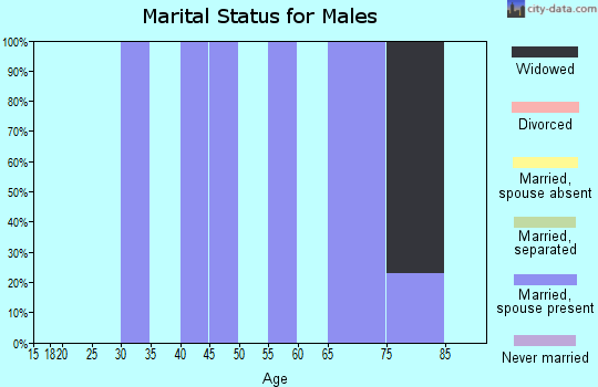 Zip code 25902 marital status for males