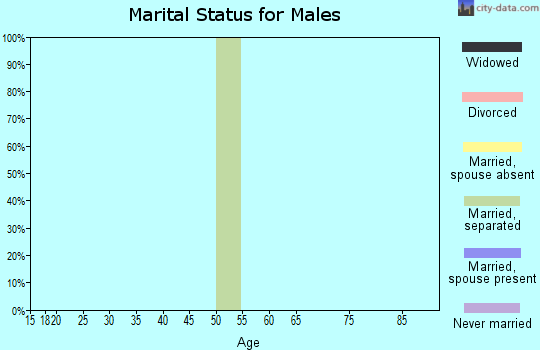 Zip code 25908 marital status for males