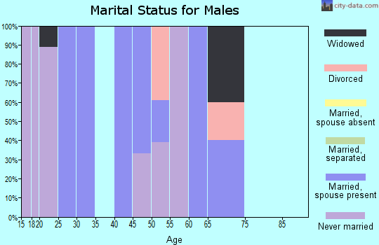 Zip code 25915 marital status for males
