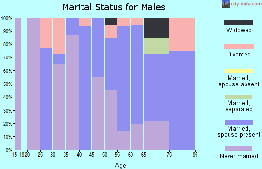 Zip code 25917 marital status for males