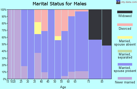 Zip code 25918 marital status for males