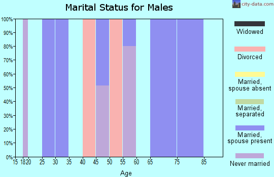 Zip code 25928 marital status for males