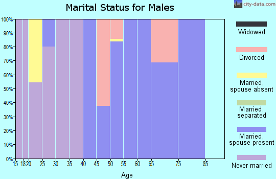 Zip code 25938 marital status for males