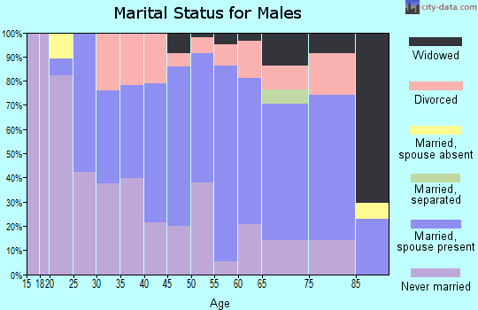 Zip code 25951 marital status for males