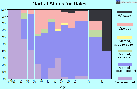 Zip code 25962 marital status for males