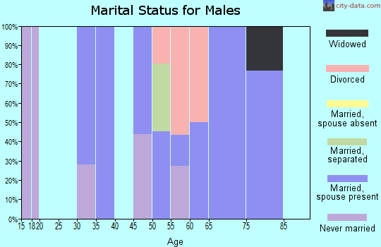 Zip code 25971 marital status for males