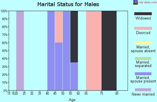 Zip code 25972 marital status for males