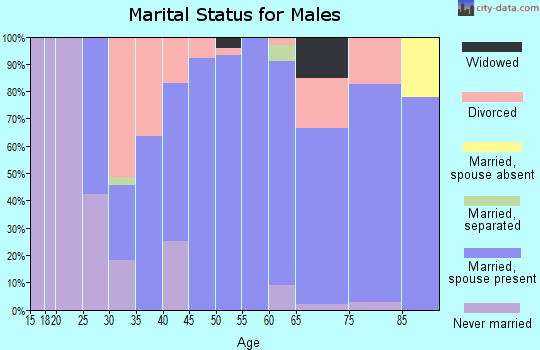 Zip code 25976 marital status for males