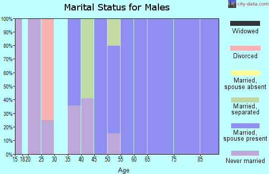 Zip code 25978 marital status for males