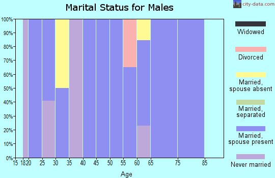 Zip code 25979 marital status for males