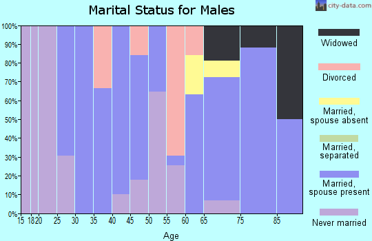 Zip code 25981 marital status for males