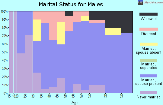 Zip code 25984 marital status for males