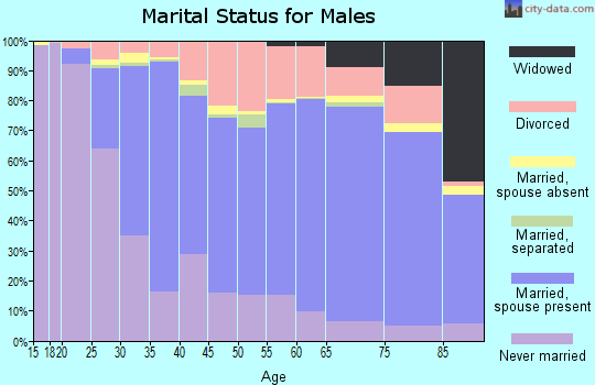 Zip code 26003 marital status for males