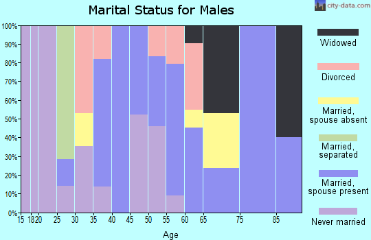 Zip code 26030 marital status for males