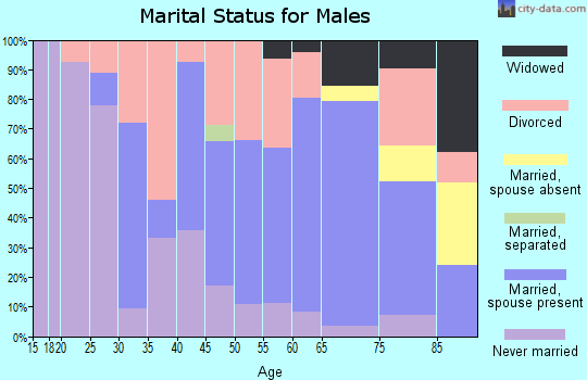Zip code 26031 marital status for males