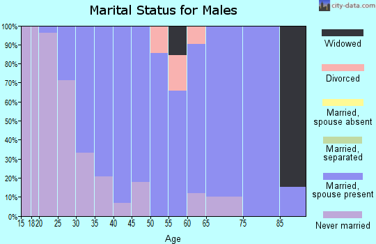 Zip code 26032 marital status for males