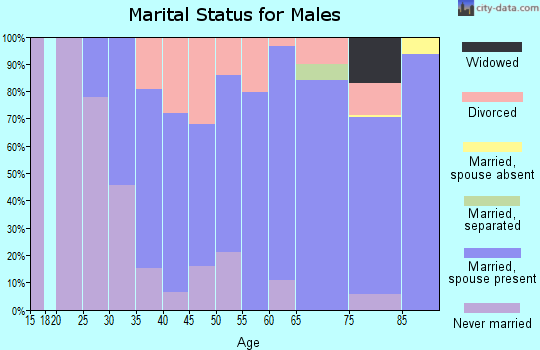 Zip code 26034 marital status for males