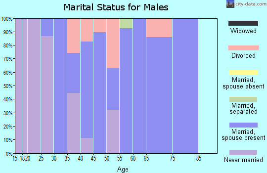Zip code 26035 marital status for males