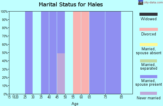 Zip code 26036 marital status for males