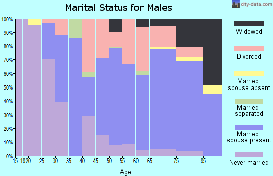 Zip code 26037 marital status for males