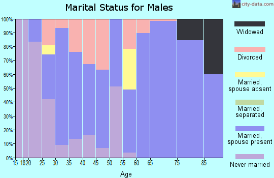 Zip code 26038 marital status for males
