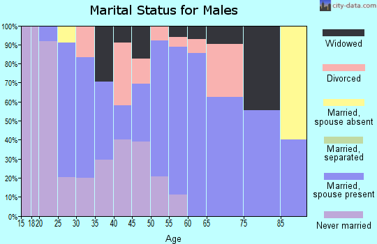 Zip code 26040 marital status for males