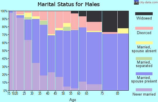 Zip code 26041 marital status for males
