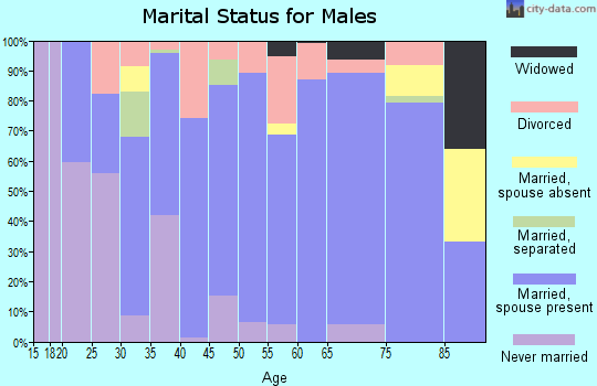 Zip code 26047 marital status for males