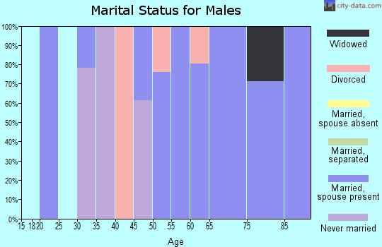 Zip code 26050 marital status for males