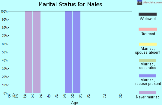 Zip code 26056 marital status for males