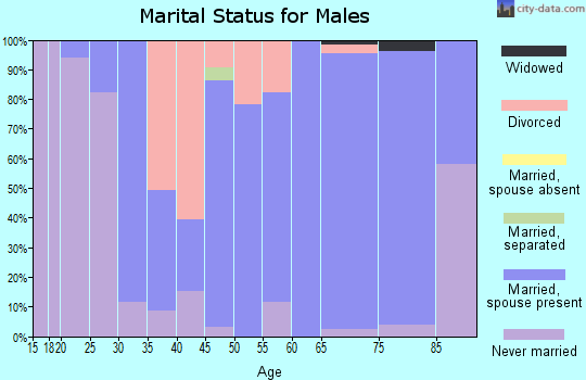 Zip code 26059 marital status for males