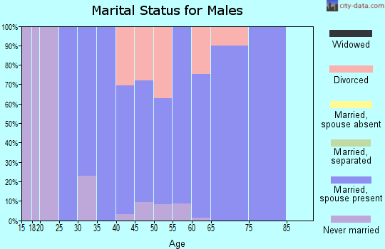 Zip code 26060 marital status for males
