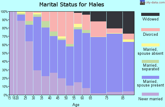 Zip code 26062 marital status for males
