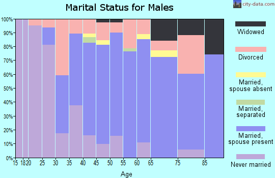 Zip code 26070 marital status for males