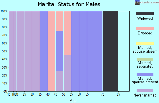 Zip code 26074 marital status for males