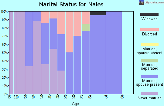 Zip code 26075 marital status for males
