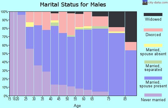 Zip code 26104 marital status for males