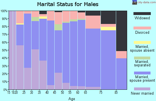 Zip code 26105 marital status for males