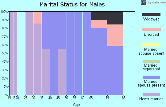 Zip code 26133 marital status for males