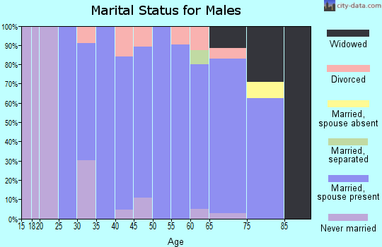 Zip code 26134 marital status for males