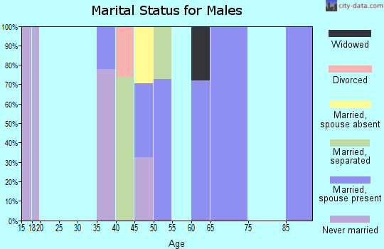 Zip code 26136 marital status for males